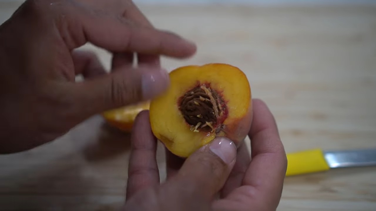 Grow Plums Kitchen Garden