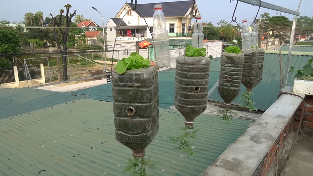 Hanging garden DIY