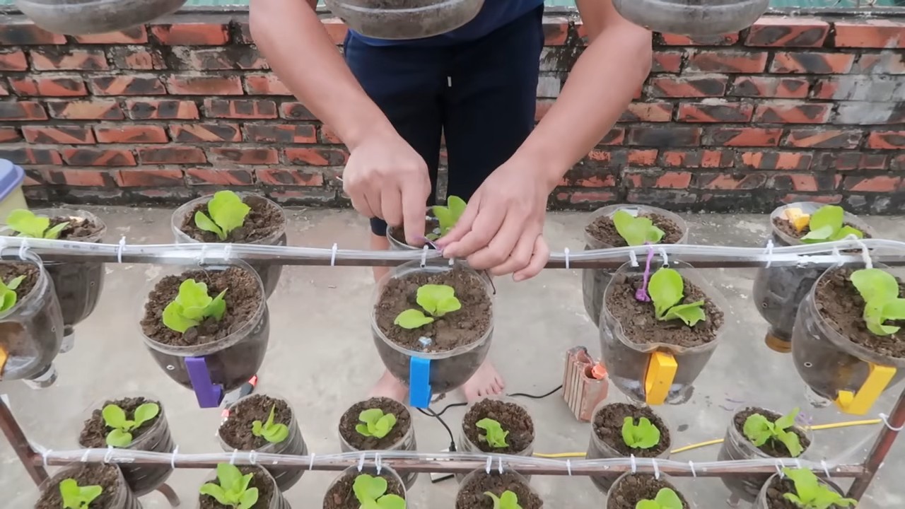 Vertical garden drip irrigation