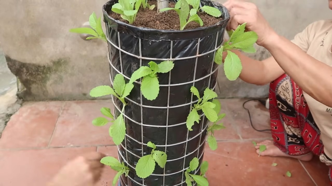 DIY Vertical Garden Drip System
