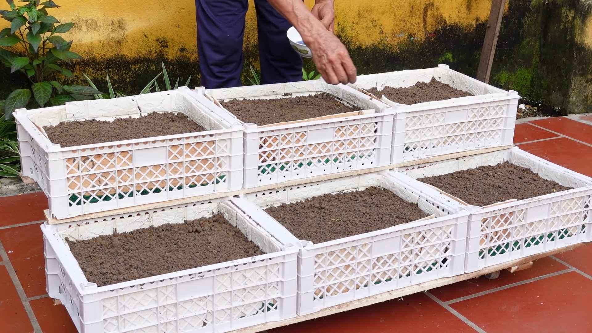 Indoor gardening for food