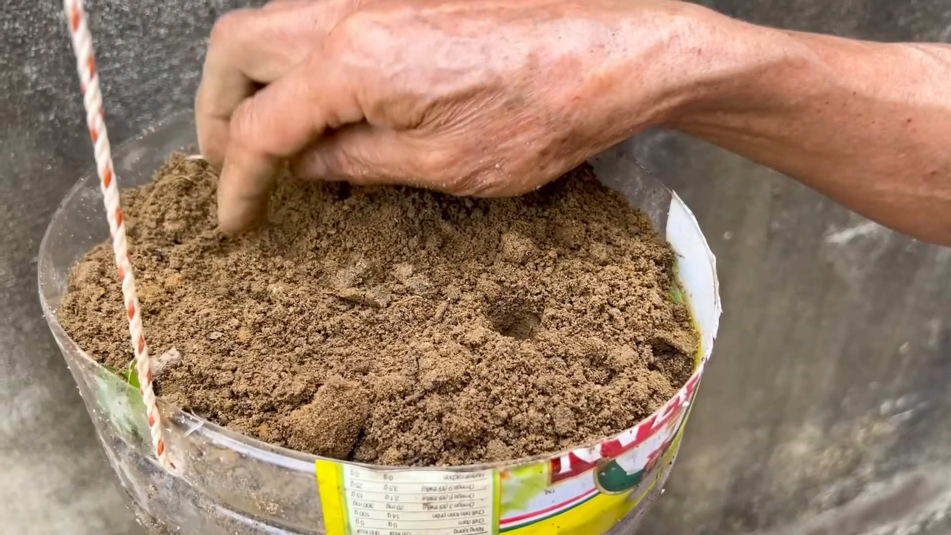 Sweeter Melon Growing Tips