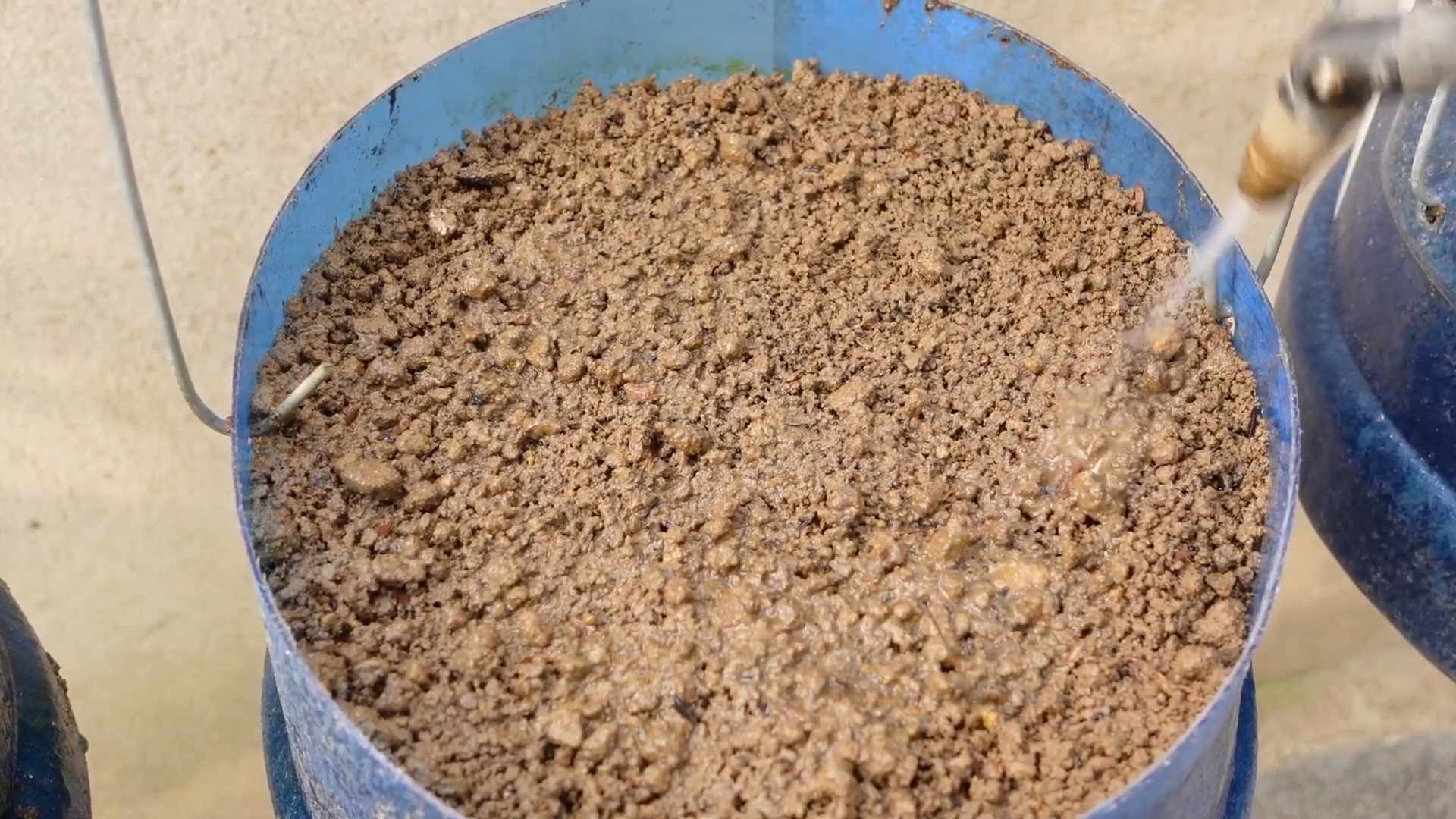 Easy to grow healthy food