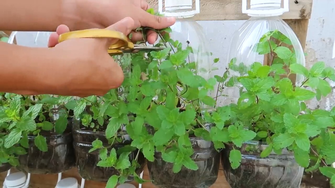 Kitchen stocking method