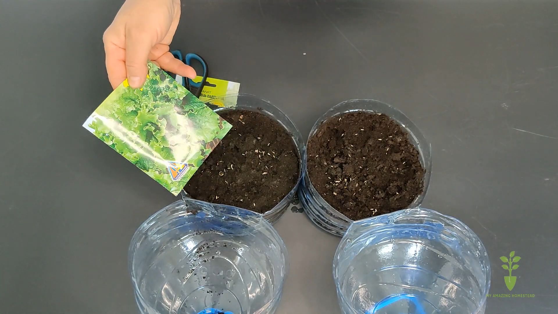 Lettuce Gardening Easy Hack