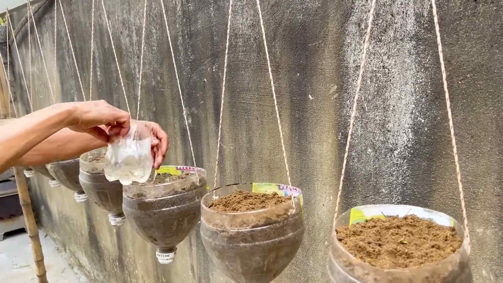 Melon Growing Secrets