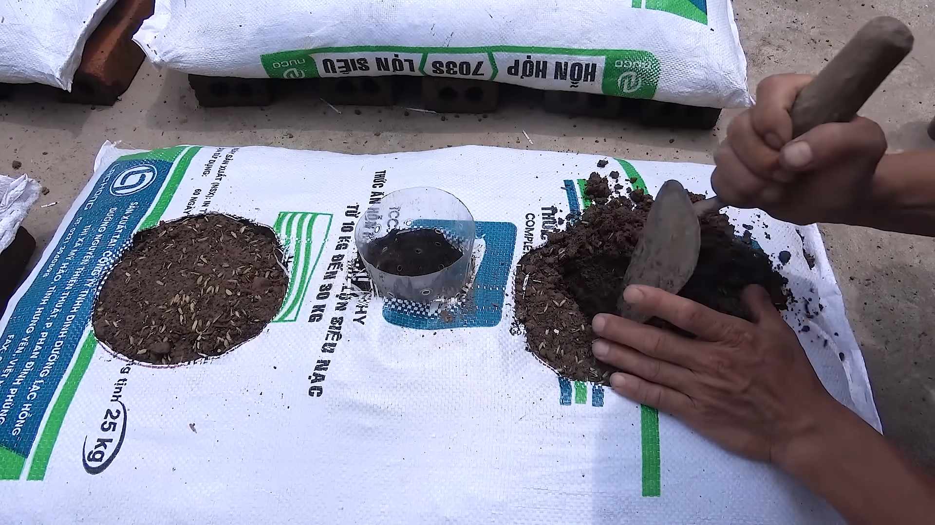 Grow Strawberries at Home