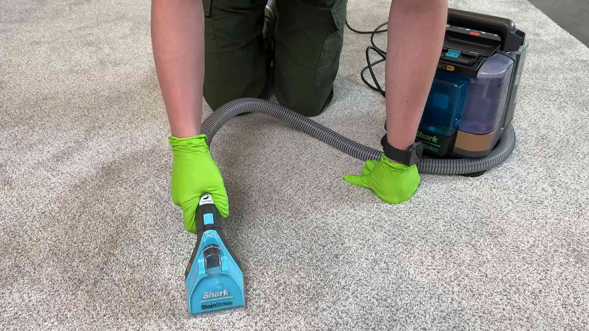 Pet Owner Cleaning Products